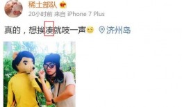 卓伟爆料张子怡视频大全,揭秘娱乐圈不为人知的一面